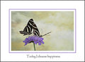 Happy Butterflies 2 Print Unisex , , , Long Sleeve Tee