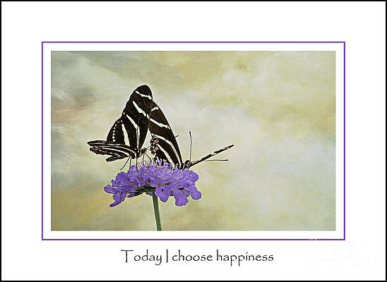 Happy Butterflies 2 Print Unisex , , , Long Sleeve Tee