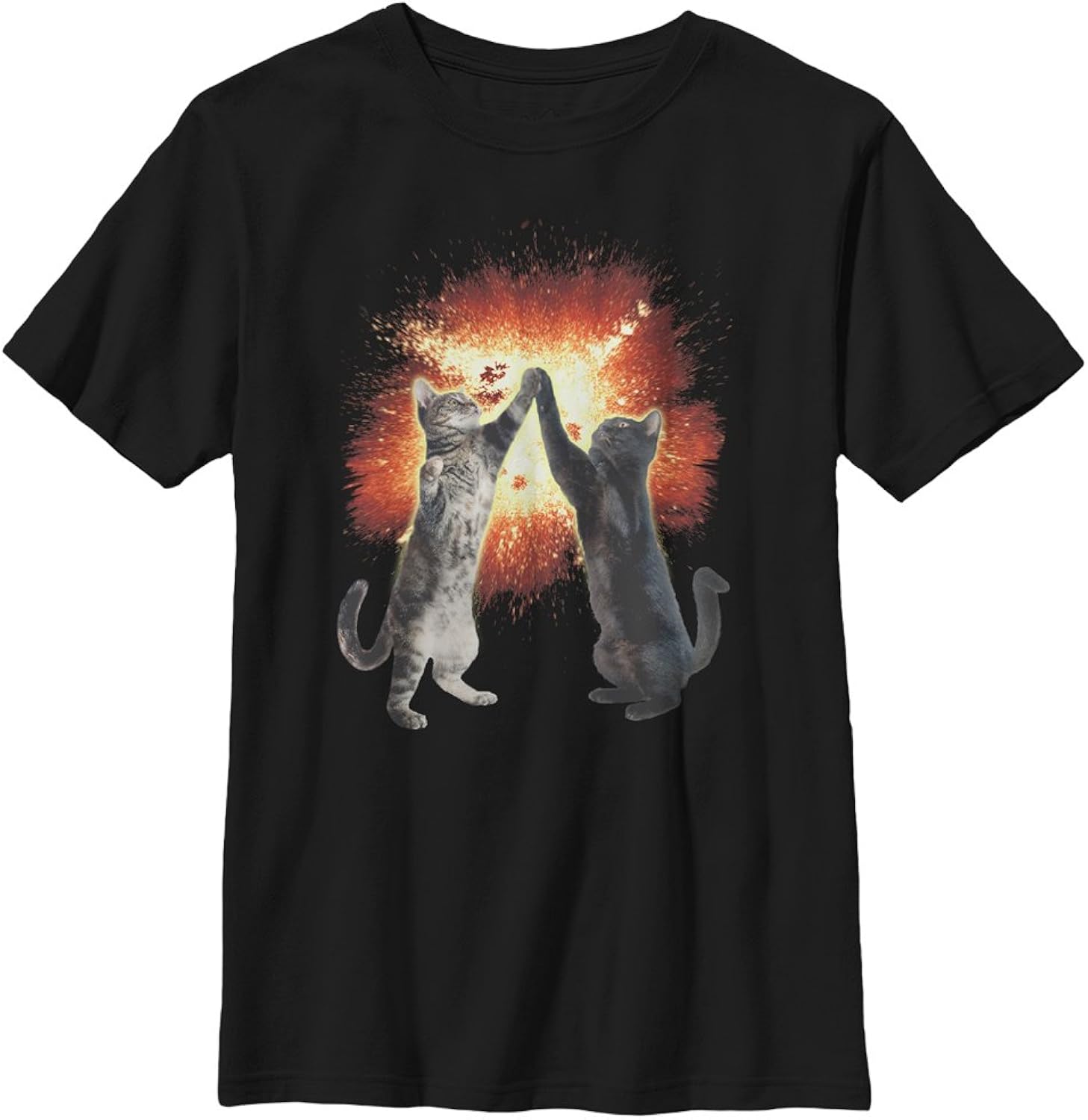 Boys' Cat Five Graphic Unisex , , , Long Sleeve Tee