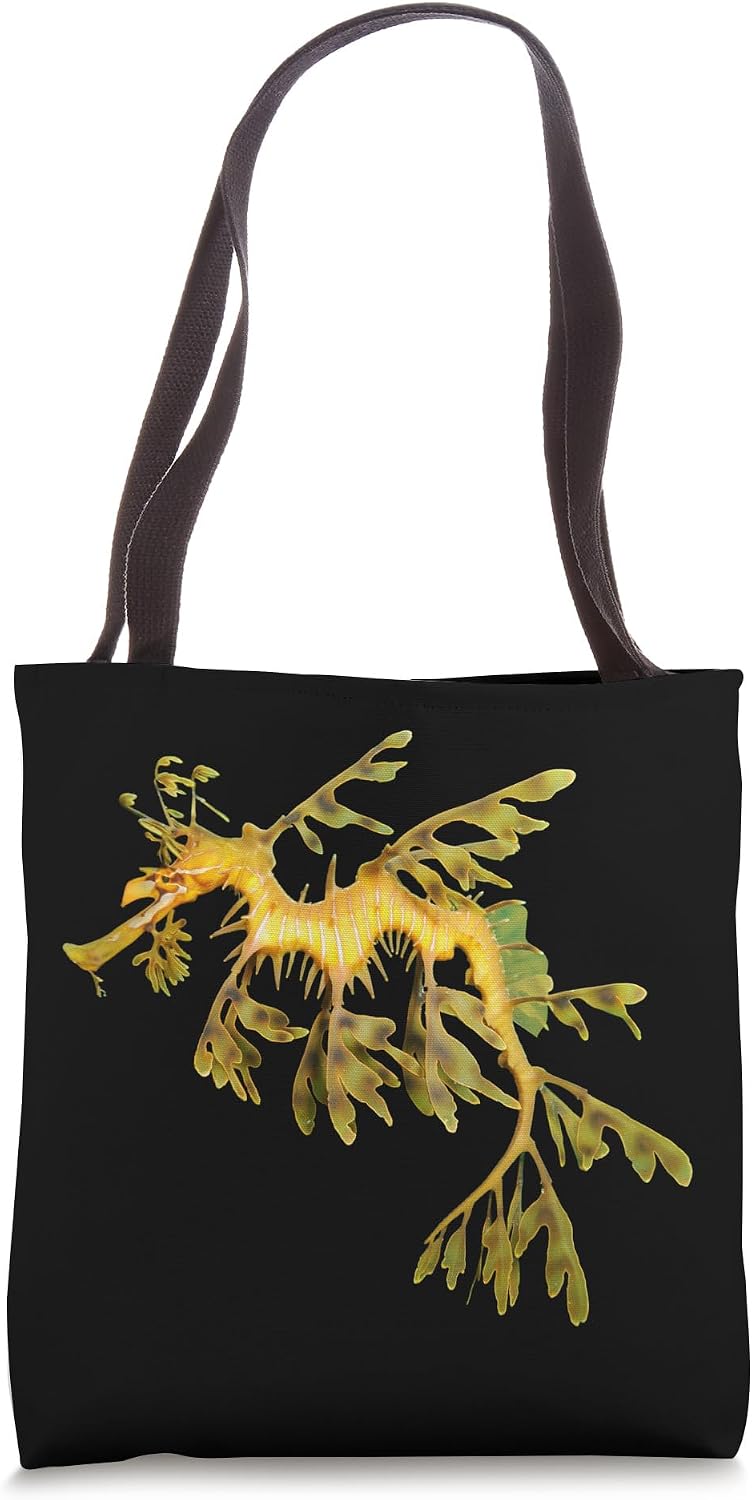 Leafy Sea dragon Seahorse