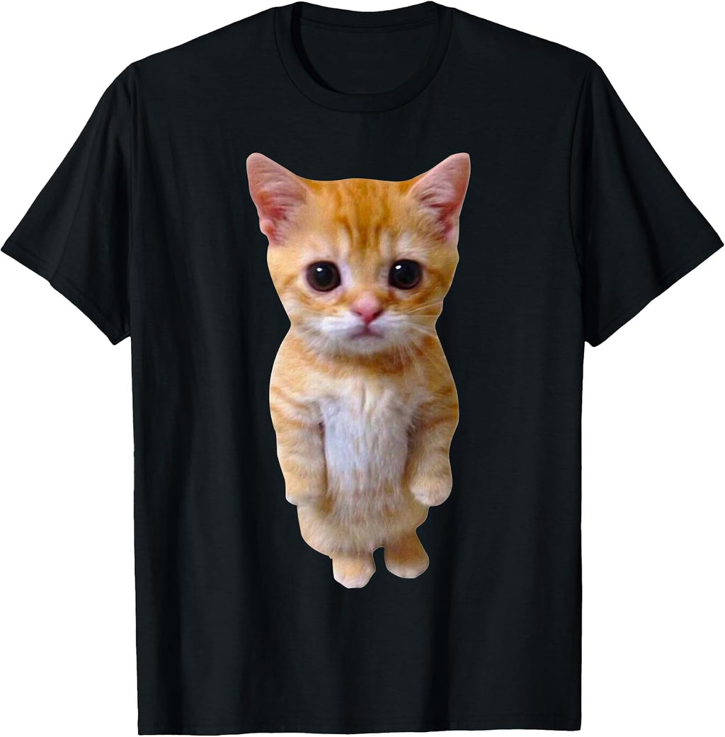 El Gato Meme Sad Crying Cat Munchkin Kitty Meme