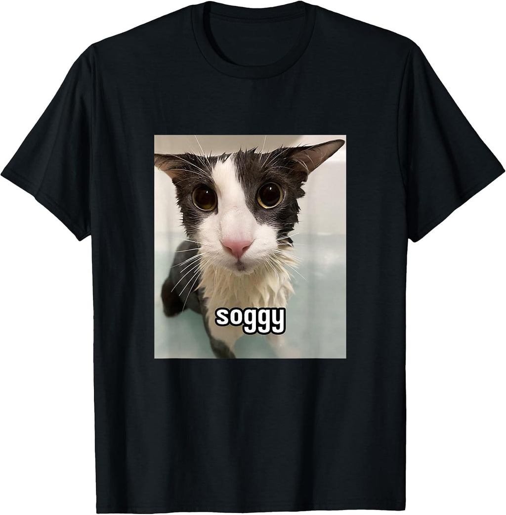 Funny Silly Cat Memes by The Meme Factory