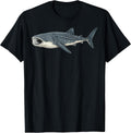 Whale Shark Ocean Diving Scuba Diver