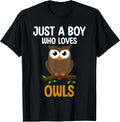 Funny Owl Birds for toddlers Kids boys