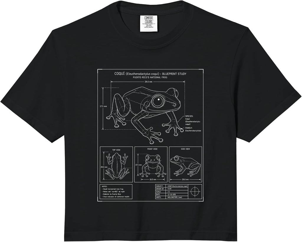 Island Amphibian Nature Sketch Wildlife Merch.