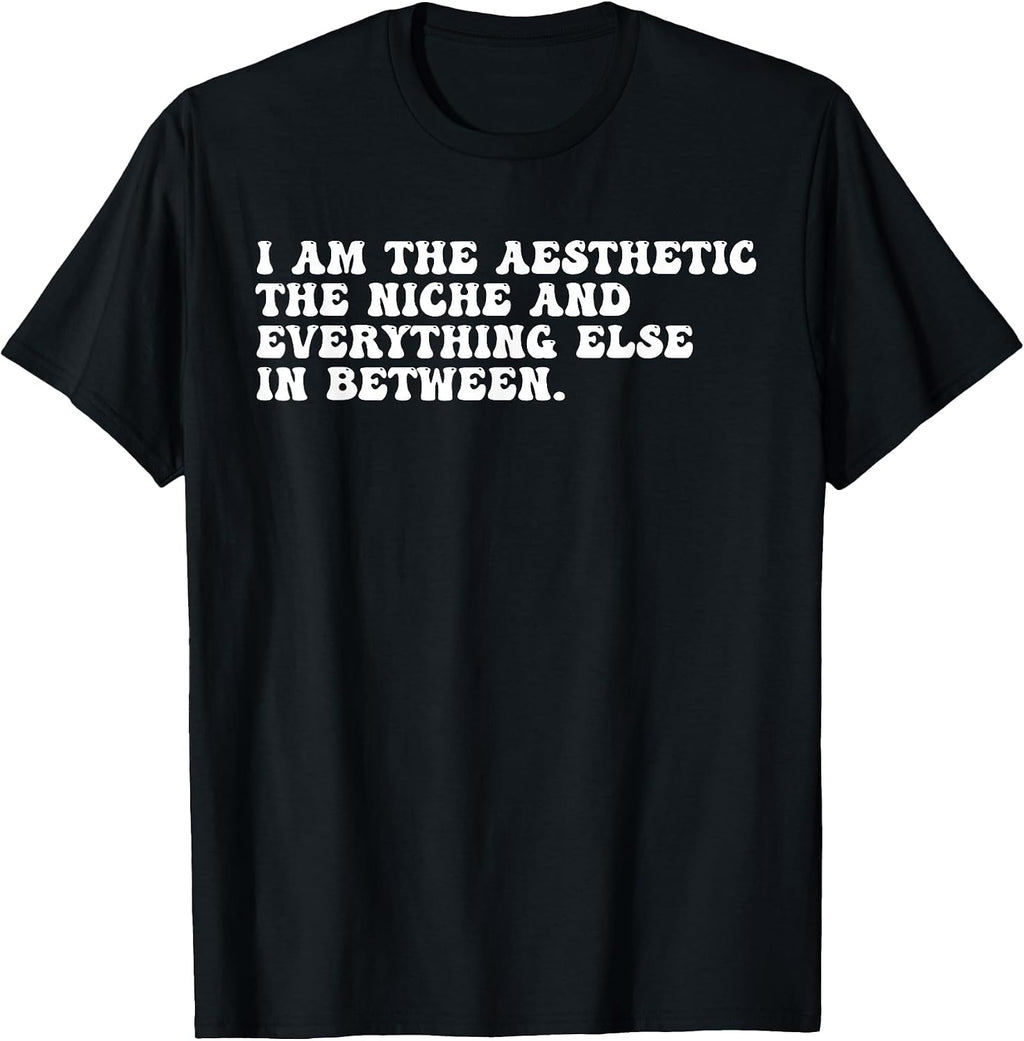 The Aesthetic The Niche Everything Else In Between