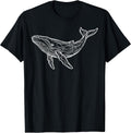 Blue Whale Drawing Sketch Ocean Humpback Whale