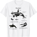 Orca whale Anatomy, Marine Biologist