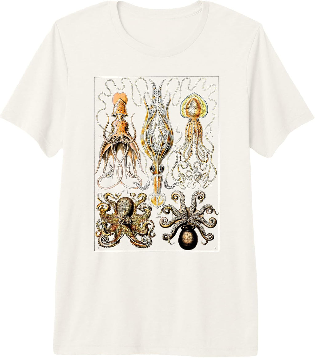 Octopus Zoology Teuthology biologists