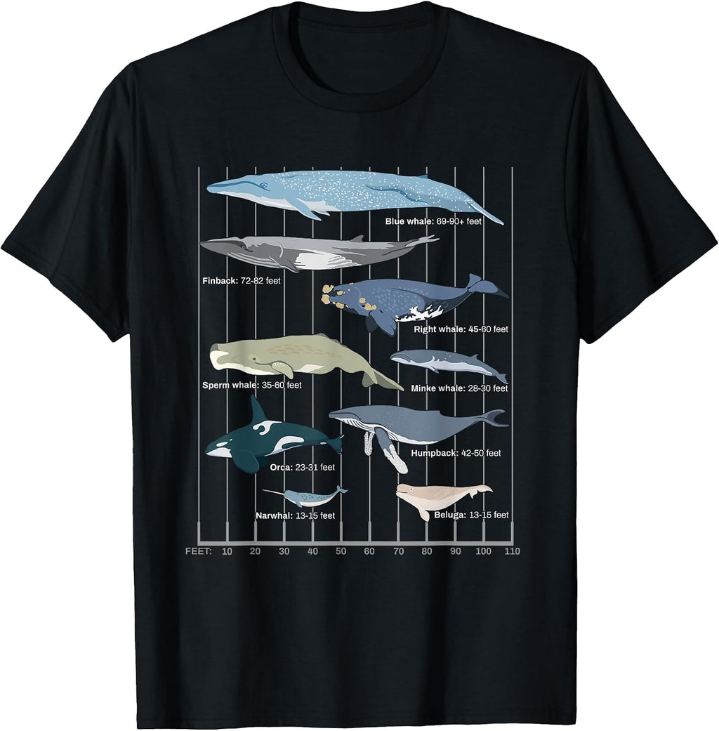 Types Of Whales
