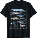 Types Of Whales