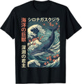 Japan Whale Ocean Humpback Whale