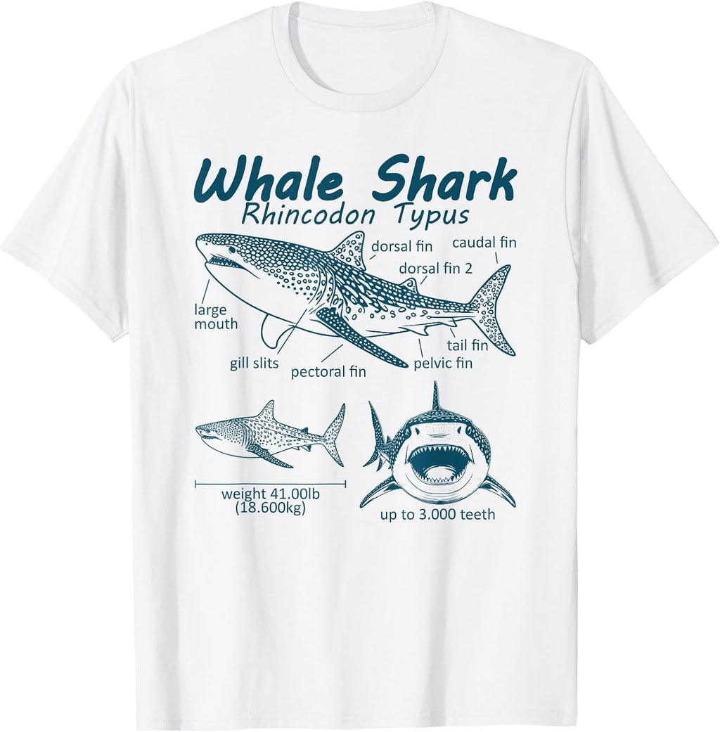 Surfer Surfing Whale Shark Anatomy