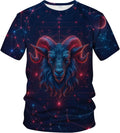 Fantasy Zodiac Graphic Novelty Short Sleeve Crewneck Shirt Unisex , , , Long Sleeve Tee