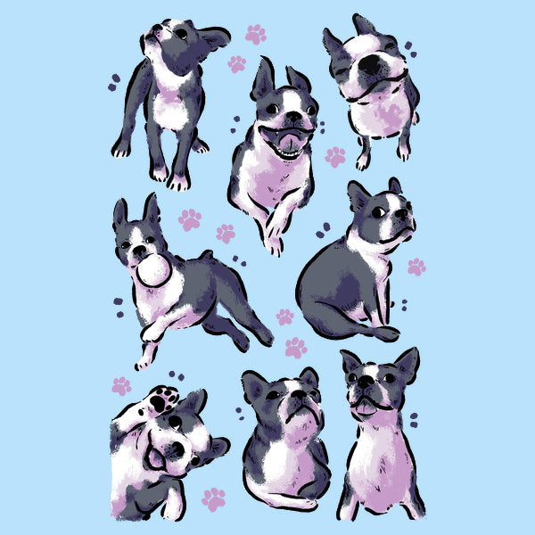 Boston Terrier Love