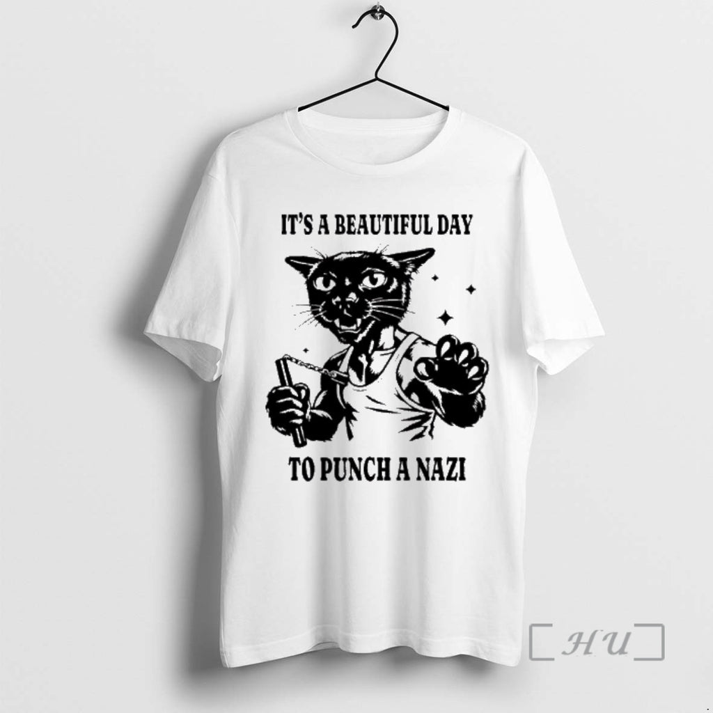 Officials Its A Beautiful Day To Punch A Nazi Cat