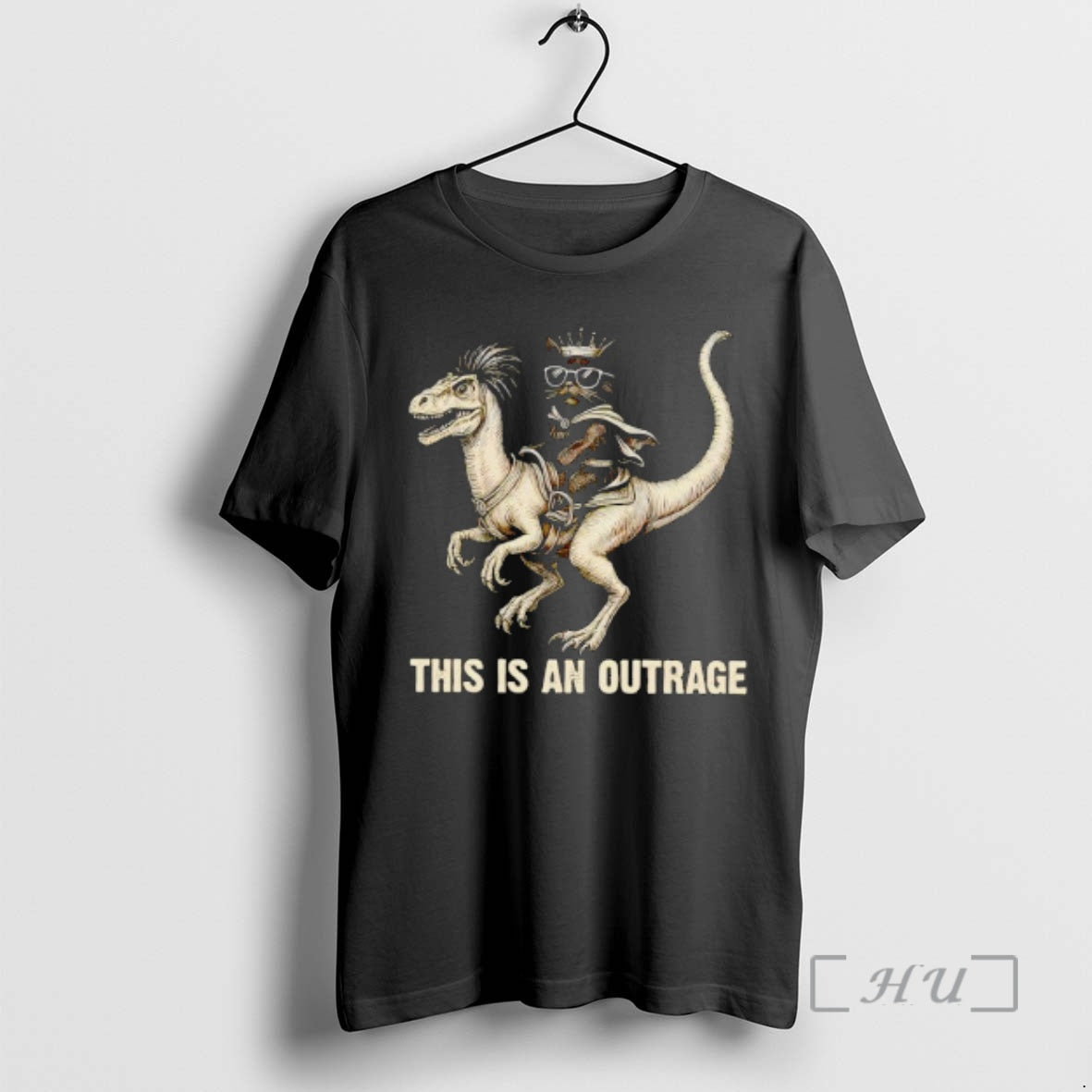Officials This Is Outrage Cat Lover T-Shirts