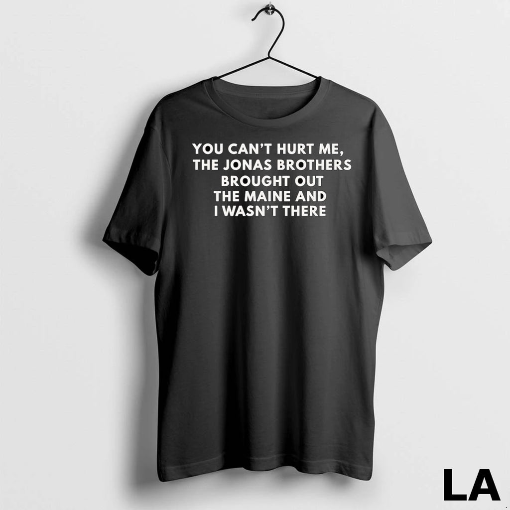 Original You Cant Hurt Me The Jonas Brothers Brought Out The Maine And I Wasnt