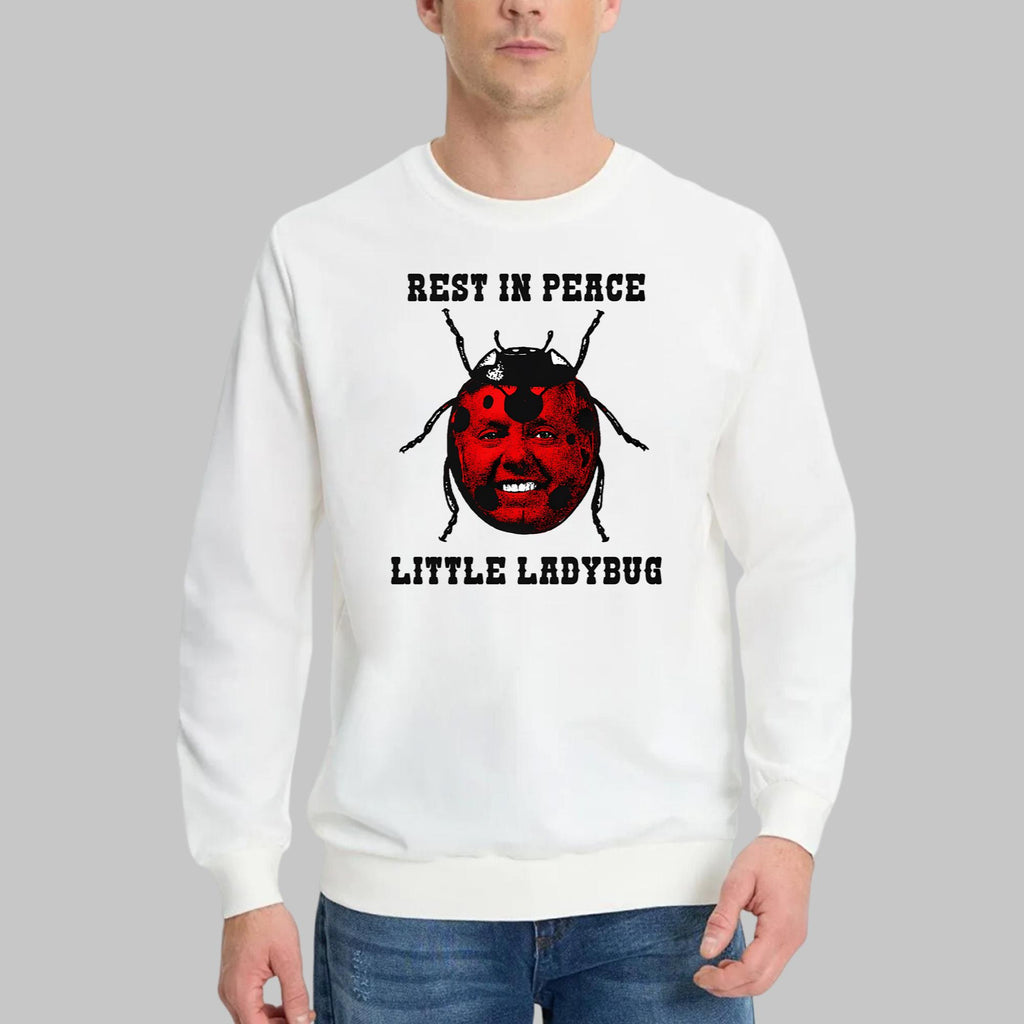 Rest In Peace Little Ladybug Shirt