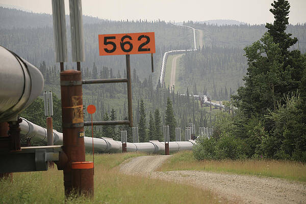 Alaskan Pipeline 2997 Print Unisex , , , Long Sleeve Tee