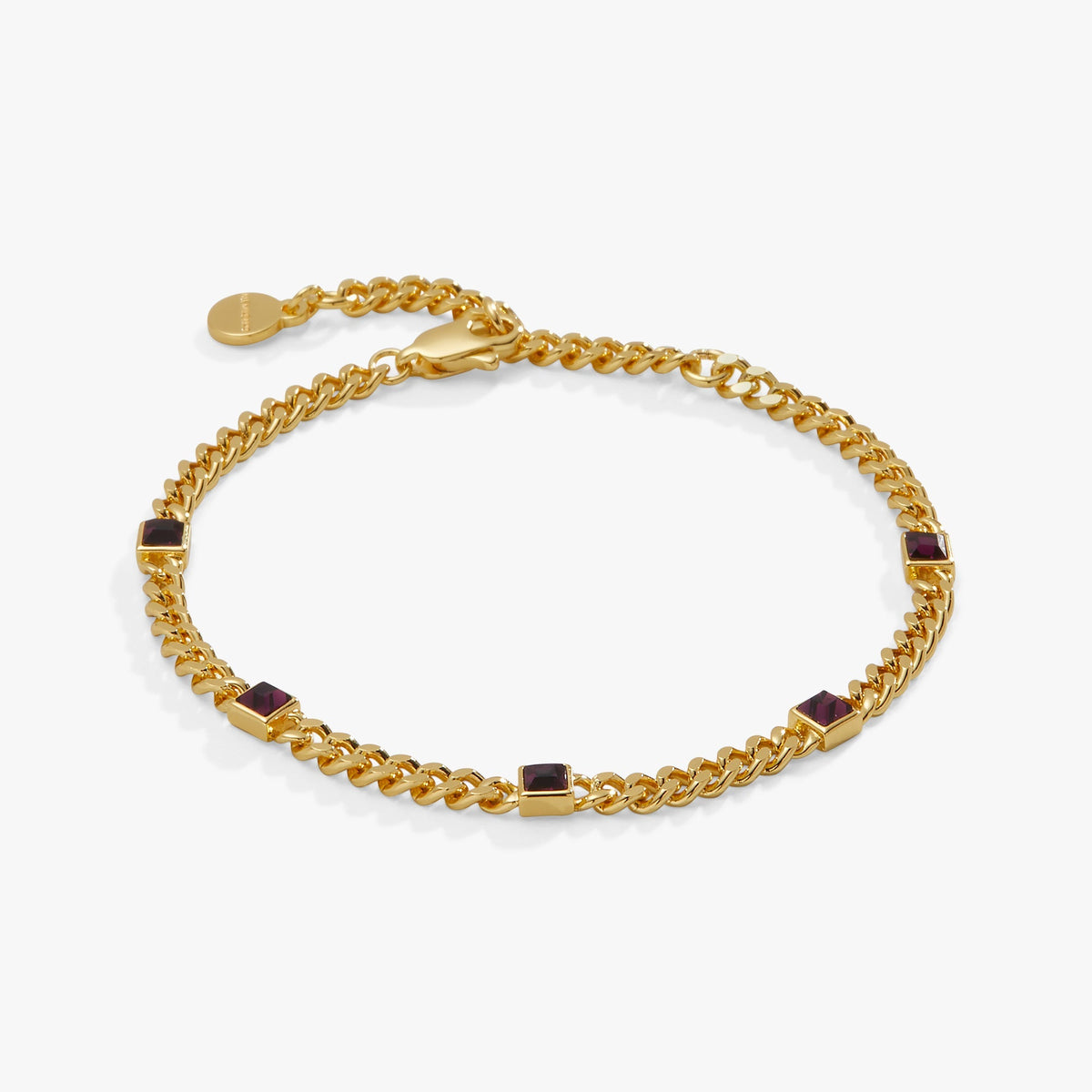 February Birthstone Amethyst Curb Chain Bracelet T-Shirts