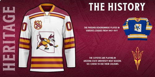 Arizona Coyotes Heritage Concepts team logo Hockey Jersey