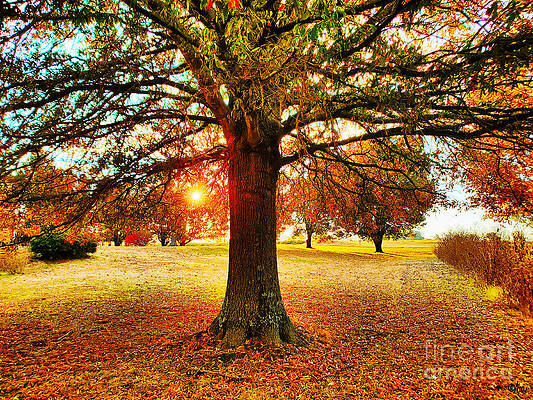 Autumn Sunrise Print Unisex , , , Long Sleeve Tee