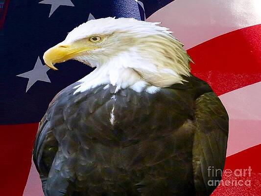 Bald Eagle Usa Print Unisex , , , Long Sleeve Tee