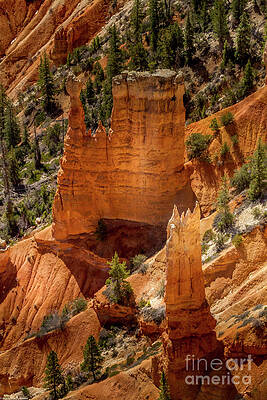 Bryce Canyon 5 Print Unisex , , , Long Sleeve Tee