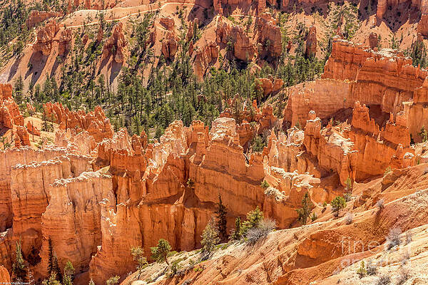 Bryce Canyon Print Unisex , , , Long Sleeve Tee