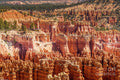 Bryce Canyon Navajo Trail Print Unisex , , , Long Sleeve Tee