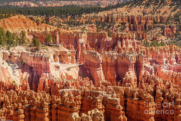 Bryce Canyon Navajo Trail Print Unisex , , , Long Sleeve Tee