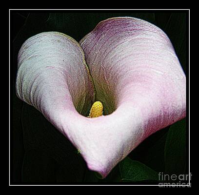 Calla Lily Print Unisex , , , Long Sleeve Tee