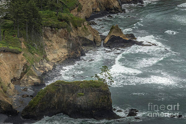 Cape Foulweather Oregon Print Unisex , , , Long Sleeve Tee