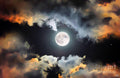Full Moon Rising Print Unisex , , , Long Sleeve Tee