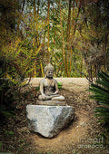 Garden Buddha Print Unisex , , , Long Sleeve Tee