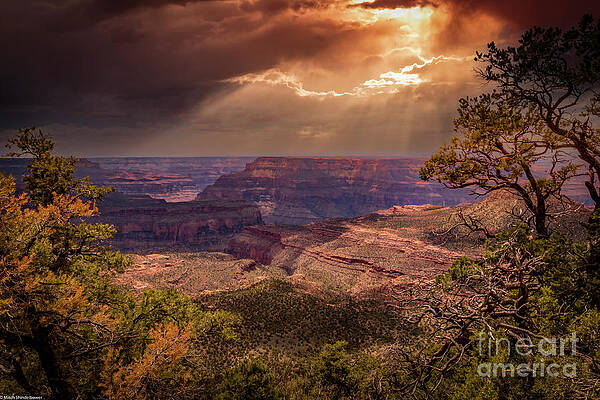 Grand Canyon North Rim Spring Print Unisex , , , Long Sleeve Tee