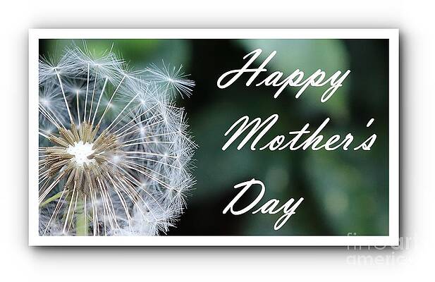 White Dandelion Mother's Day Greeting Print Unisex , , , Long Sleeve Tee