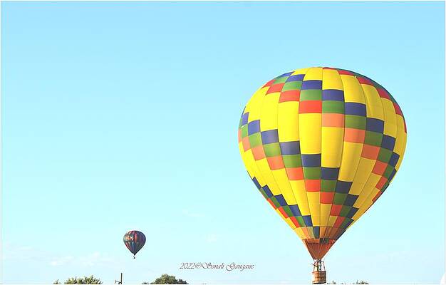 Hot Air Yellow Balloon Print Unisex , , , Long Sleeve Tee
