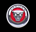 Jaguar Emblem Print Unisex , , , Long Sleeve Tee