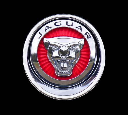 Jaguar Emblem Print Unisex , , , Long Sleeve Tee