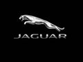 Jaguar Logo Print Unisex , , , Long Sleeve Tee