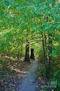Nature Trail No. 28 Print Unisex , , , Long Sleeve Tee