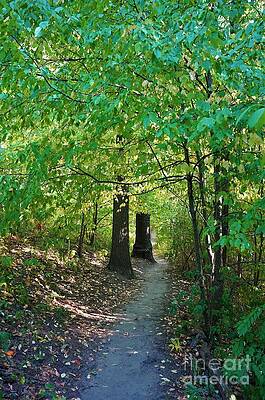 Nature Trail No. 28 Print Unisex , , , Long Sleeve Tee