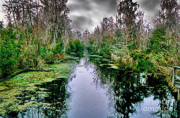 New Orleans Swamp Print Unisex , , , Long Sleeve Tee
