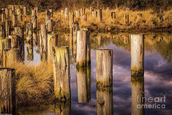 Old Wood Pilings Print Unisex , , , Long Sleeve Tee