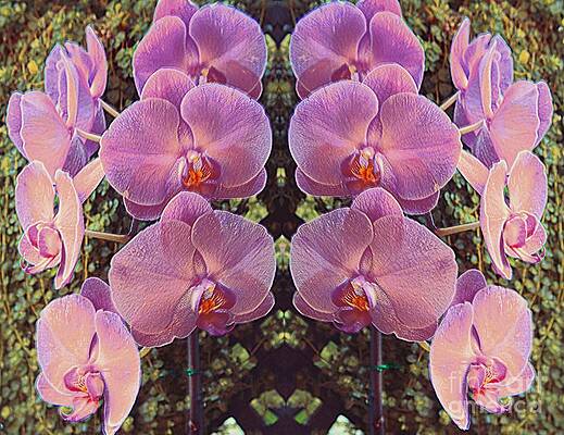 Orchids Galore Print Unisex , , , Long Sleeve Tee