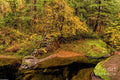 Oregon Autumn Color Print Unisex , , , Long Sleeve Tee