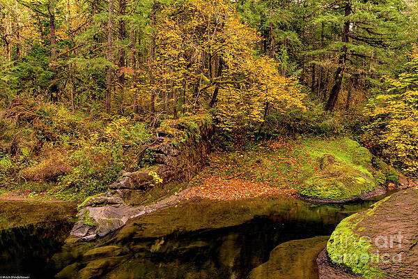 Oregon Autumn Color Print Unisex , , , Long Sleeve Tee