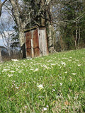 Outhouse In Spring Print Unisex , , , Long Sleeve Tee